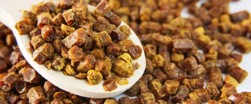 Перга и машкото здравје: природна заштита на простатата и извор на сила од пчелите