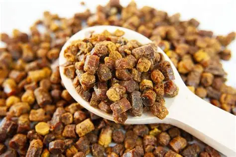 Перга - пчелин леб